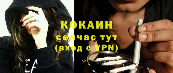 сатива Кукмор