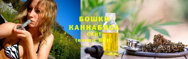 сатива Кукмор