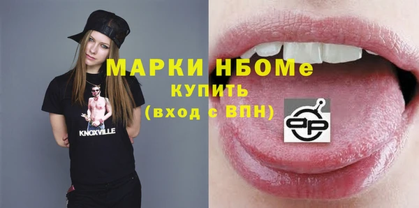 индика Краснотурьинск