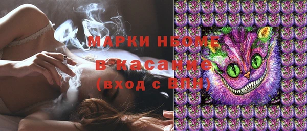 сатива Кукмор