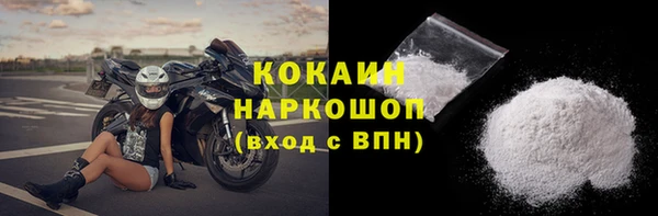 сатива Кукмор