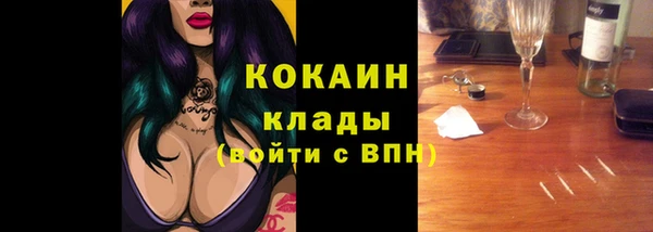 индика Краснотурьинск