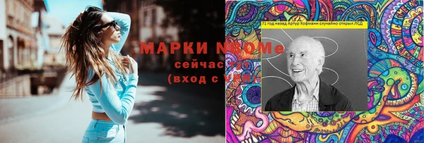 сатива Кукмор