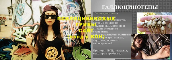 сатива Кукмор