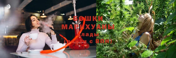 сатива Кукмор